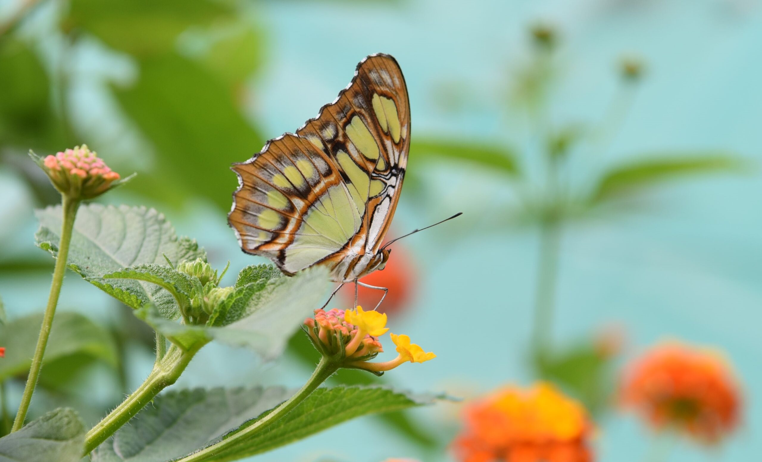 202223 Competition 1 Prints and PDIs Images Open Subject Tyndale Photography Club